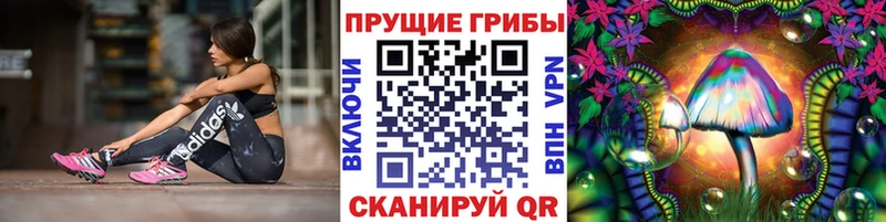 как найти закладки  Братск  Галлюциногенные грибы Psilocybine cubensis 