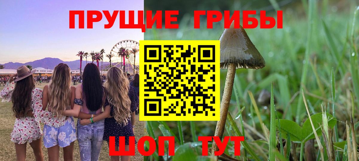 Псилоцибиновые грибы Magic Shrooms  Вход с VPN  Галлюциногенные грибы Psilocybine cubensis  Братск 