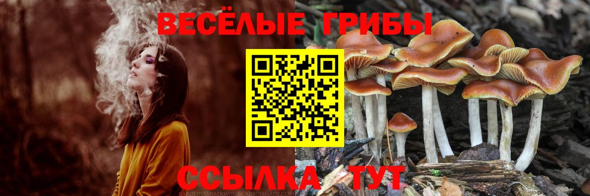 Псилоцибиновые грибы MAGIC MUSHROOMS Братск